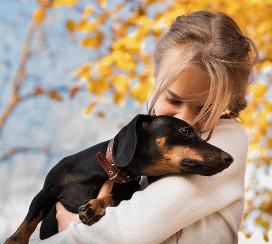 What Your Favourite Animal Says About You - The Bee Charm